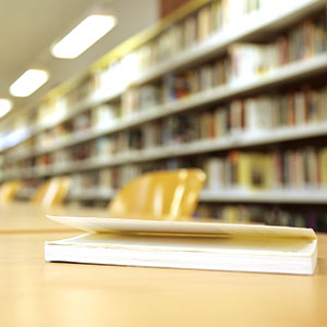 Mem&ograve;ria anual biblioteca