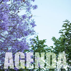 Agenda i not&iacute;cies