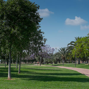 Eco turisme