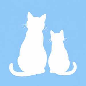 Pla municipal de gesti� de col�nies felines