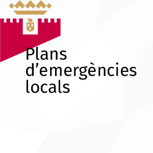 Plans d'emerg&egrave;ncies local